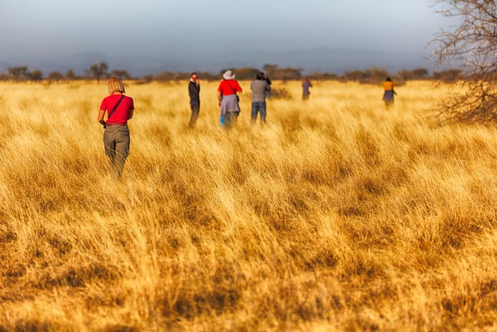 Tourists on the African savanna, Ethiopia