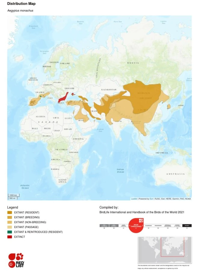 Aegypius monachus distribution map - IUCN Red List