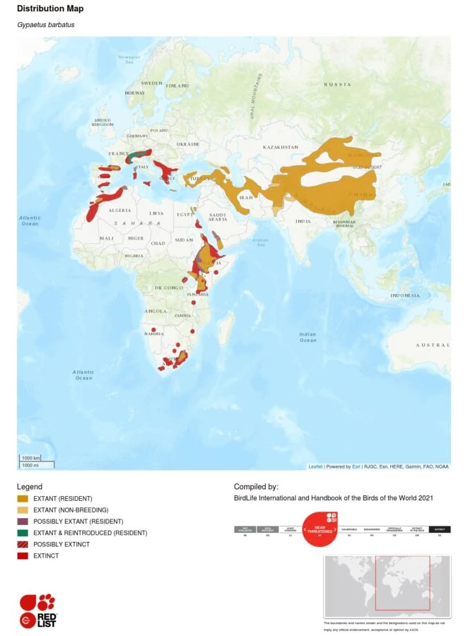 Gypaetus barbatus distribution map - IUCN Red List