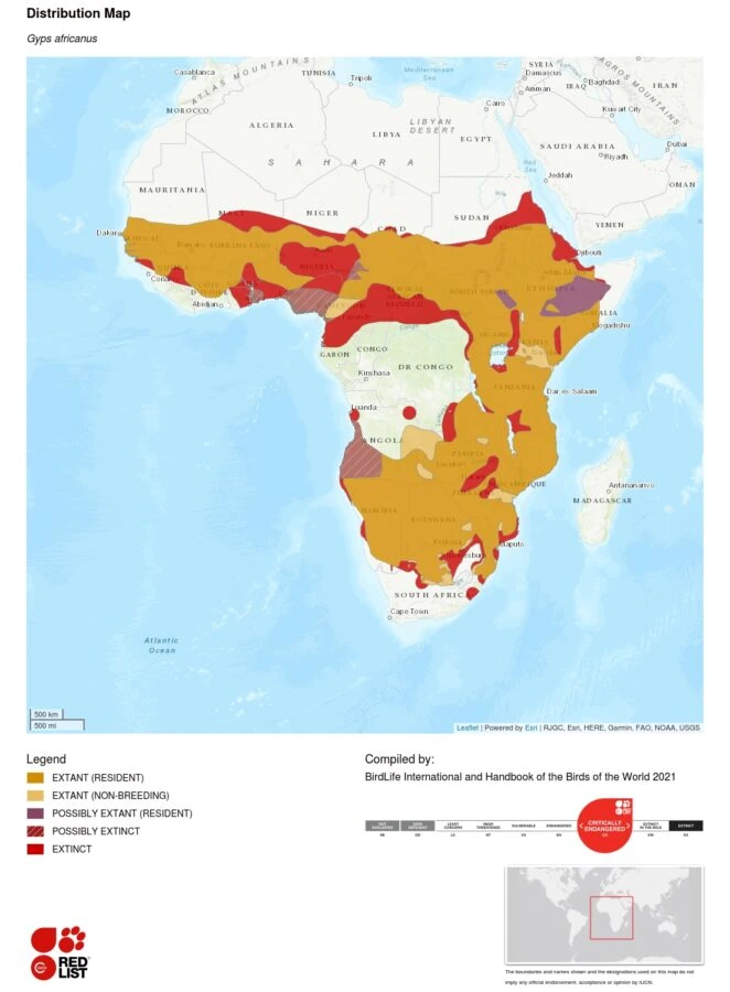 Gyps africanus distribution map - IUCN Red List