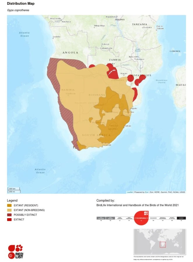 Gyps coprotheres distribution map - IUCN Red List