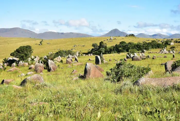 Natural landscape in Hlane Royal National Park, Eswatini (Swaziland)