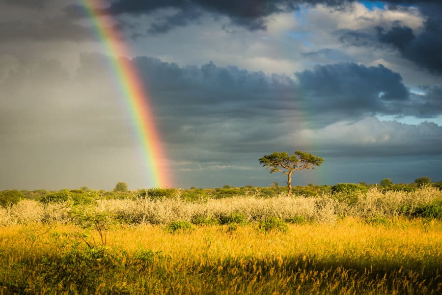 Stunning rainbow over the Kalahari Desert
