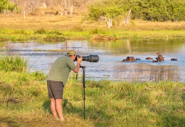 Photographer with super lens and monopod taking shots of wild hippos