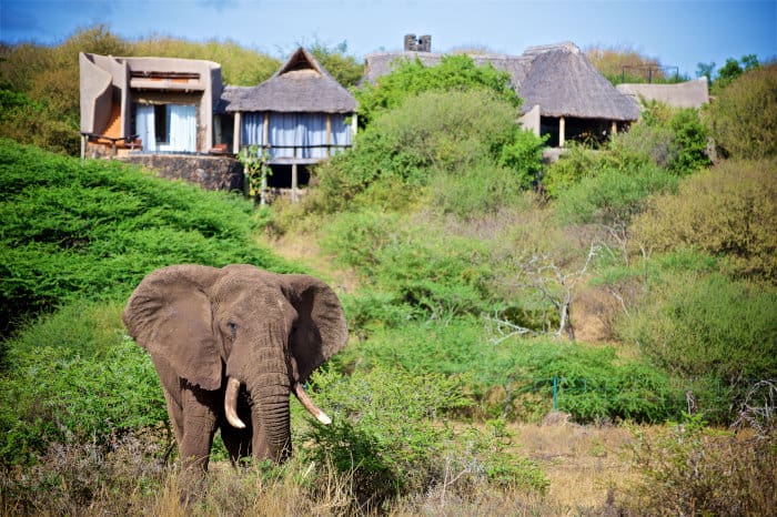Lone bull elephant, with the famous ol Donyo Lodge in the background