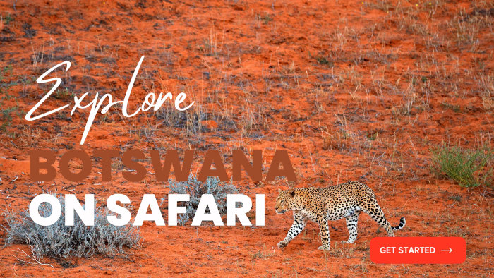 Botswana safari deals