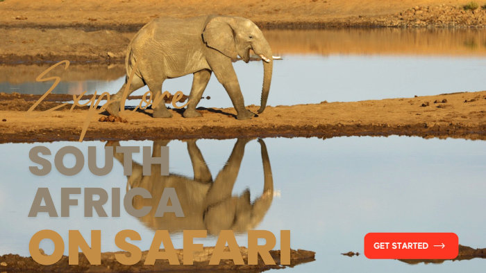 South Africa safari deals
