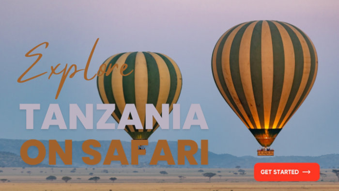 Tanzania safari deals