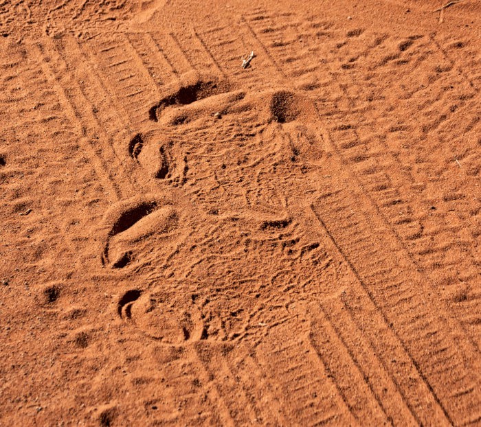 White rhinoceros footprints in red sand
