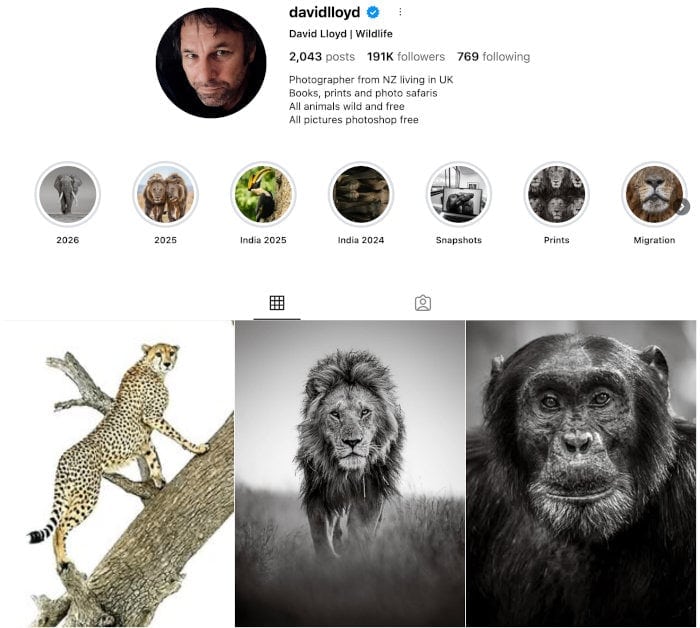 David Lloyd's Instagram profile