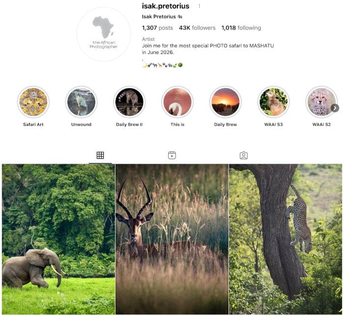 Isak Pretorius' Instagram profile